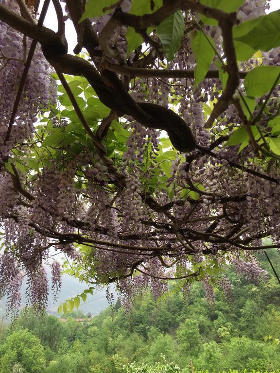 Albergo Trattoria Dazze Marcheno 外观 照片